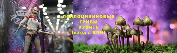 ALPHA PVP Володарск